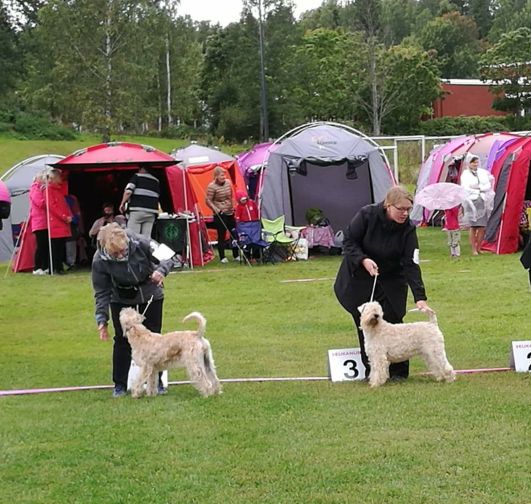 21054940_10212964262875377_8195935393287062379_o