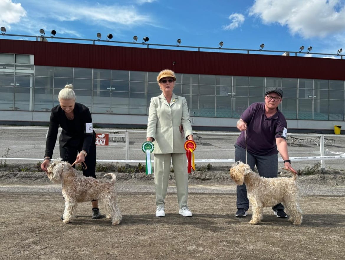 WhatsApp-Kuva 2024-08-17 klo 17.55.53_e4de33a1